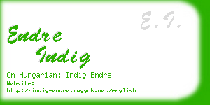 endre indig business card